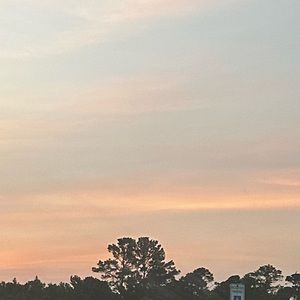 Meet your Posher, Celeste